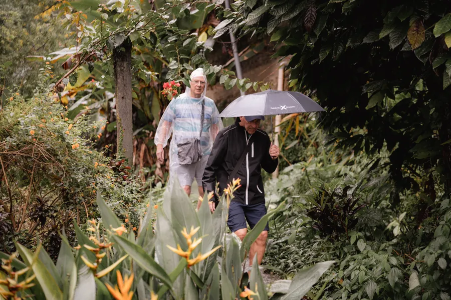 Guests walking through a tropical garden
